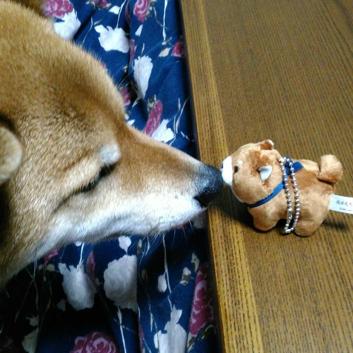 02ac59a7 27e9 429a 89ad 79731fe251c1