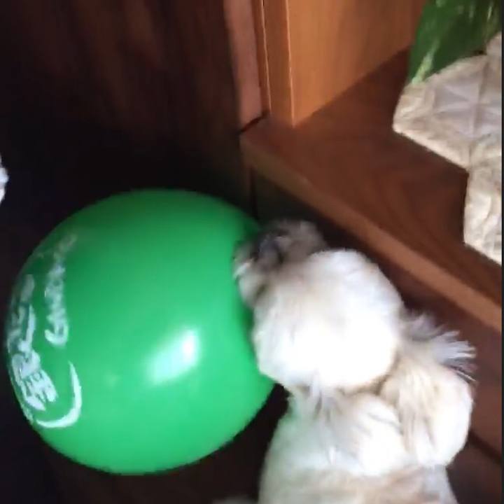 02ad1dc4 c5cf 4c14 b1d0 effcaedcbb53