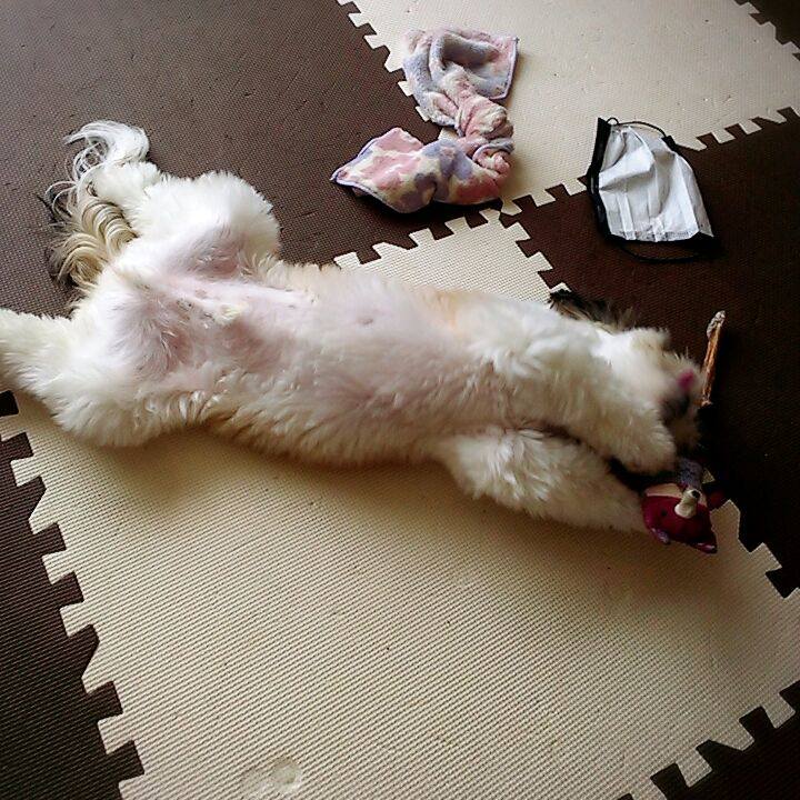 02ad34ba 855c 4595 bce2 c0ae93de6509