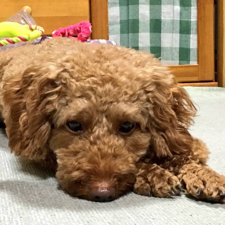 02add020 88a4 4c50 a55f e84fcb341da1