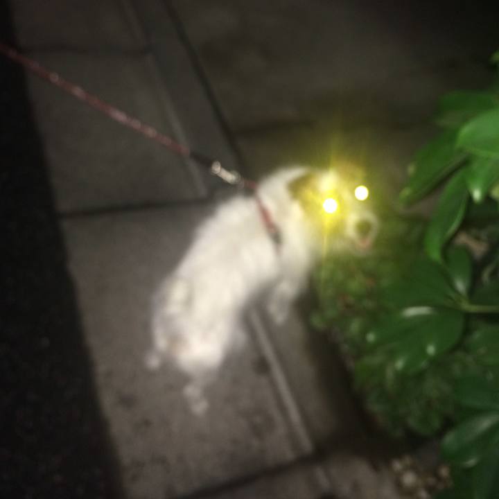 02ade960 f03e 4d42 ae5c 9ebd6ed43a1b