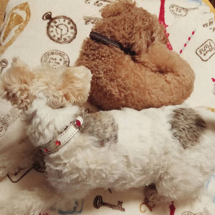 02aea965 573a 4440 b251 5cce6727ed07