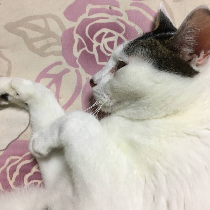 02aeb3ee 9769 4761 9c27 e612d5a7db0d