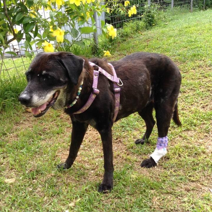 02af1b02 5aa0 42f3 b78d 5de72ce5f751