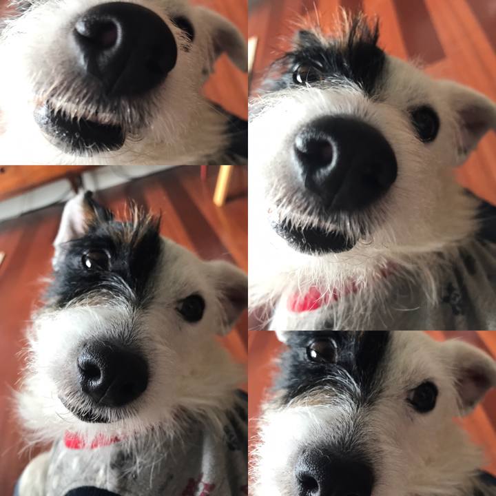 02af1ca3 89b2 47c9 8639 7d863b7a6bdd