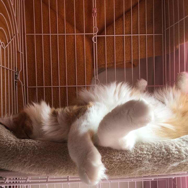 02afda9b f1af 4589 8565 a6e3666ed8ff