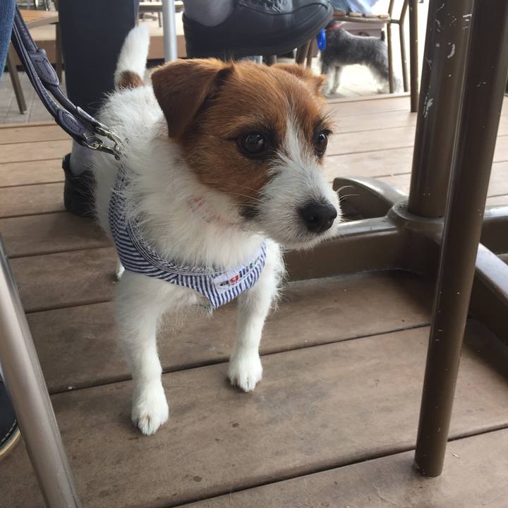 02b03f0a 7f8e 48d3 a455 bdfdb1cbe3f1