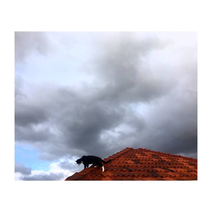 02b08d30 30f5 4e46 a479 b9c182cfef24