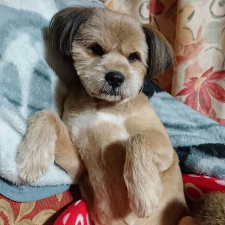 02b0a8cd 90ee 47f9 94f8 bed4adb538c5