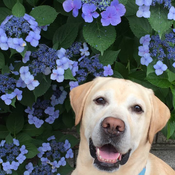 02b0b10c 20c9 44d2 8fdf e8bd4529918d