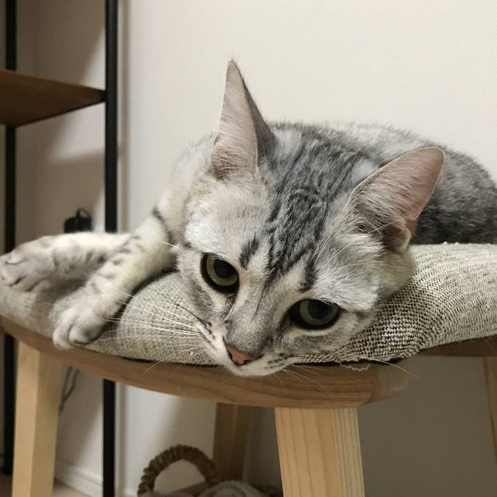 02b0ec3c cfbf 4b96 a4e6 c3bb413a2152