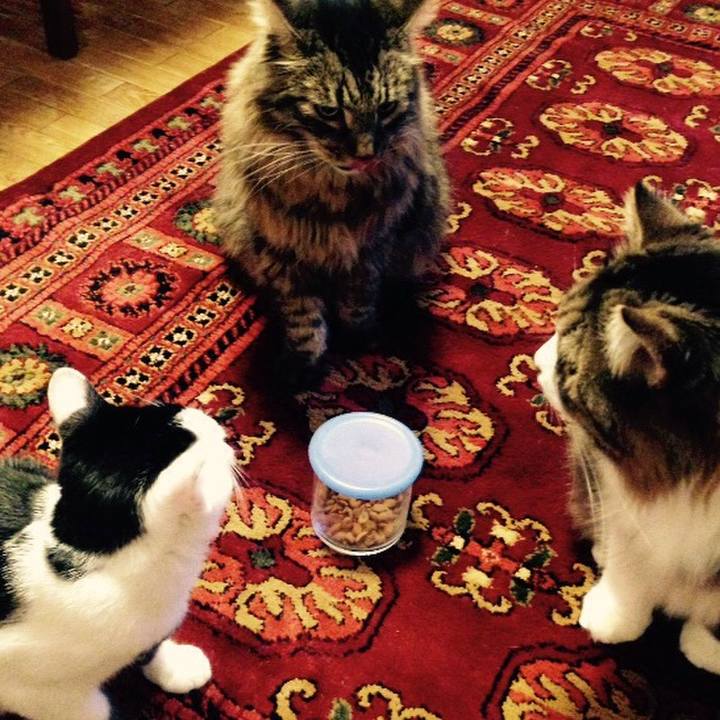 02b1282c af1d 4291 97b3 a51eda1404a1