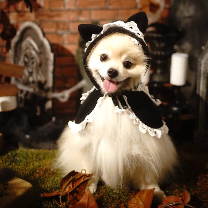 02b1425a d705 49fe ae20 ec5586e3081b