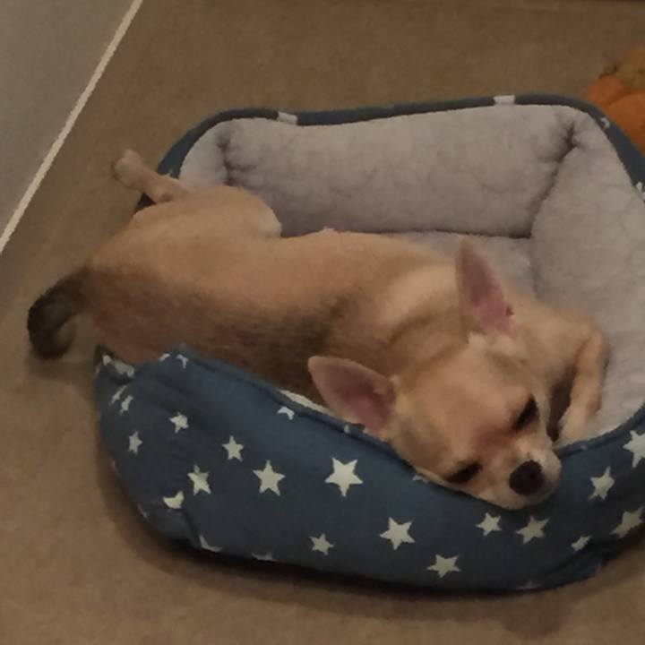 02b17782 cfd3 4b6b af62 6cc92378daea