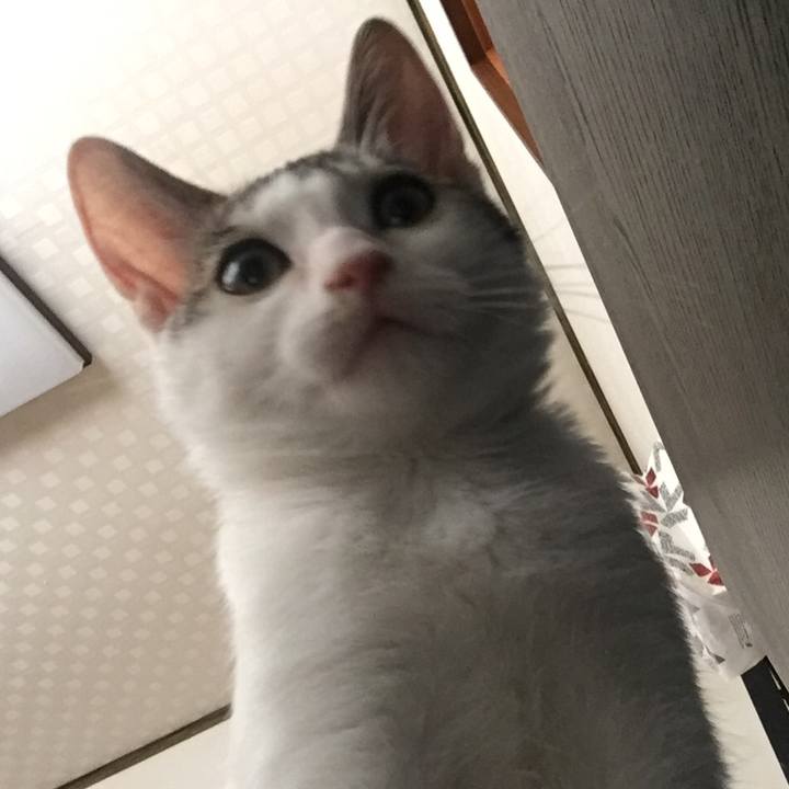 02b17a23 721a 496e a655 9145b4dc53a2