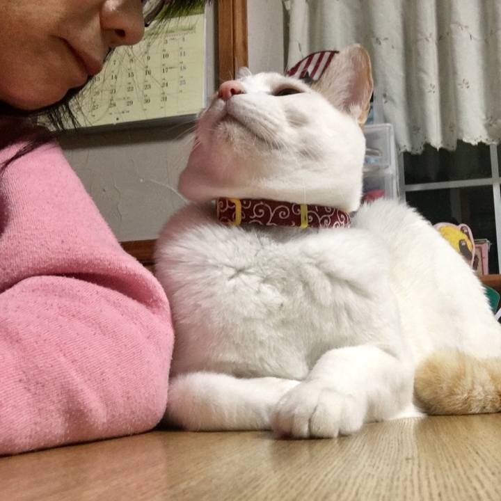 02b1a3a6 4b57 4f23 a5e8 d5b9eff866eb