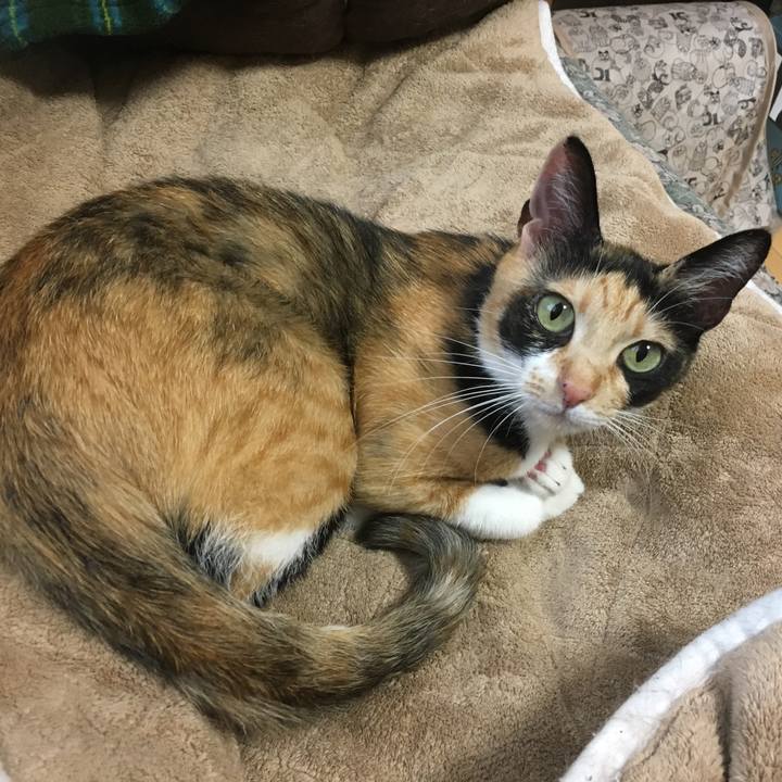 02b24209 b480 4b89 981b 4741a67dc0a6