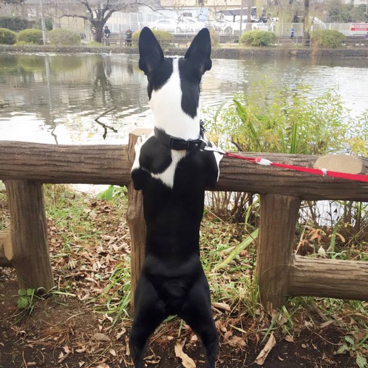 02b2b0f5 1c9b 4890 aa0a d2aeb14c55e3