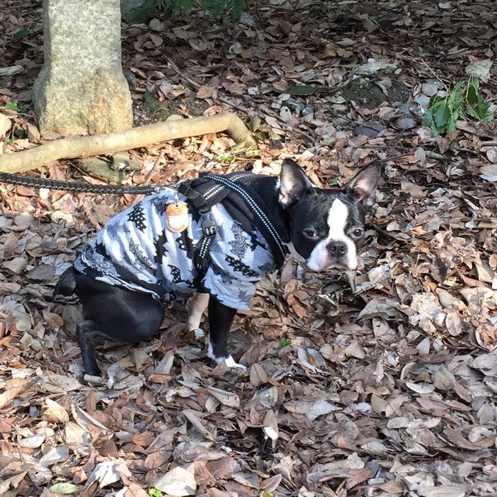 02b34a57 9ce4 4979 818e 87a0843eff72