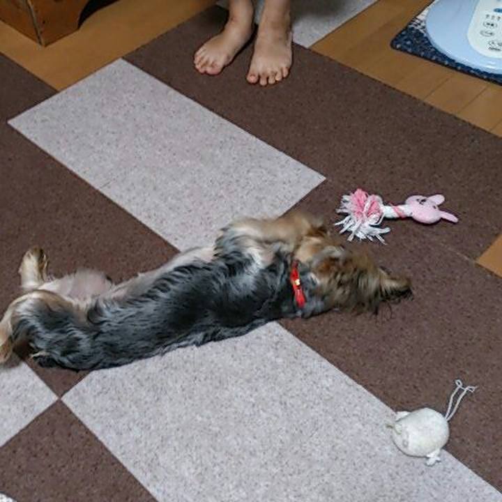 02b37ec1 bca0 4dcc bce3 3f162d51ecc2