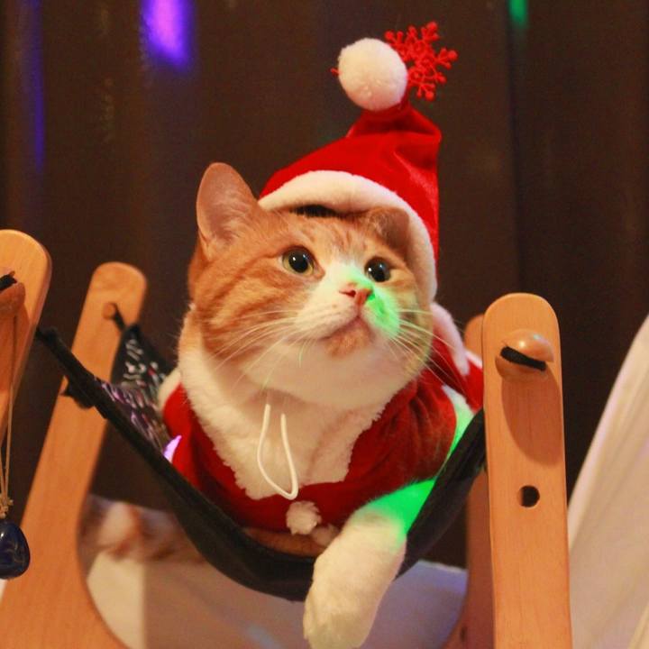 02b43d7b e6ff 4108 b259 c0e68555a91b