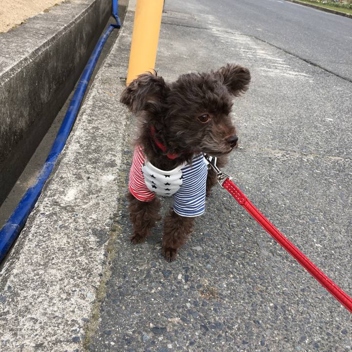 02b4976f 5833 46d4 8639 5c86afbefa27