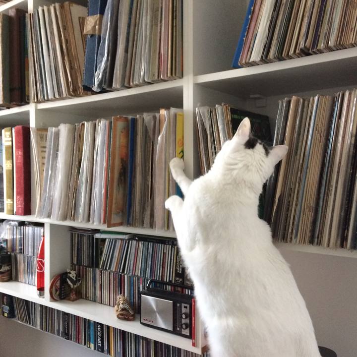 02b4ca0e 10df 4a56 9011 c456f6ae88b2