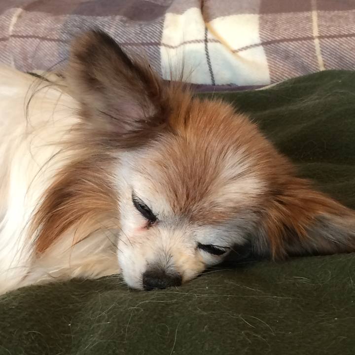 02b4e016 5265 45d9 93e9 26be63cc00bb