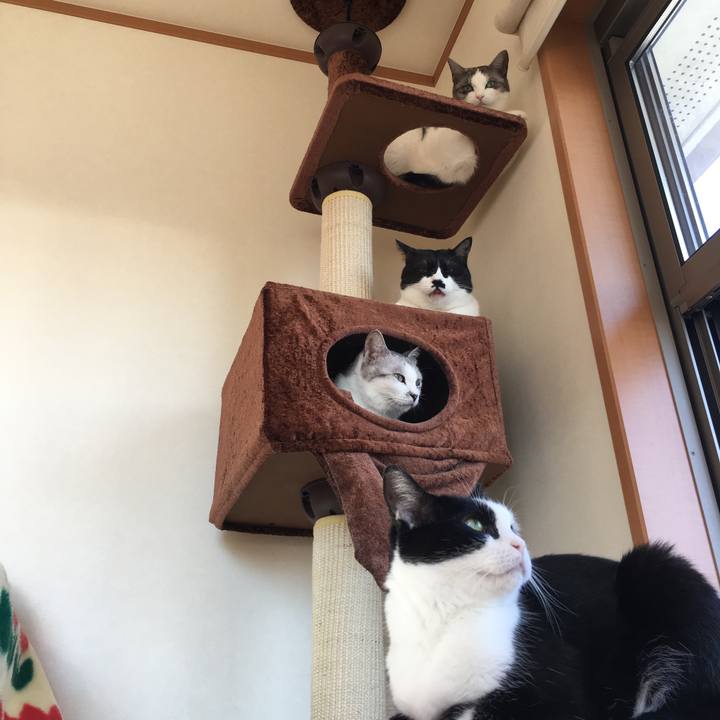 02b51a0e 03f5 405b bc84 17e51f6be180