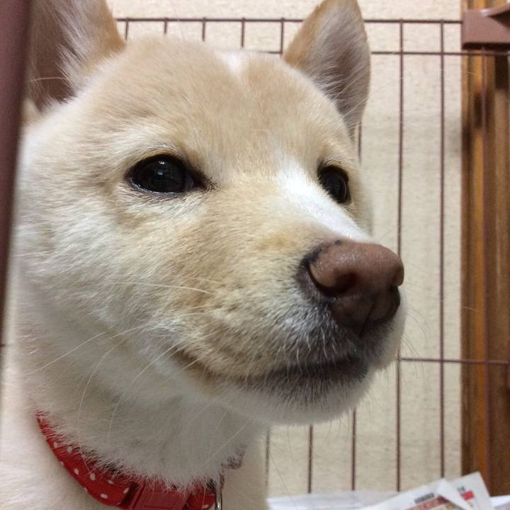 02b5b0ed 540f 4cc5 b845 5167e1a2a86e