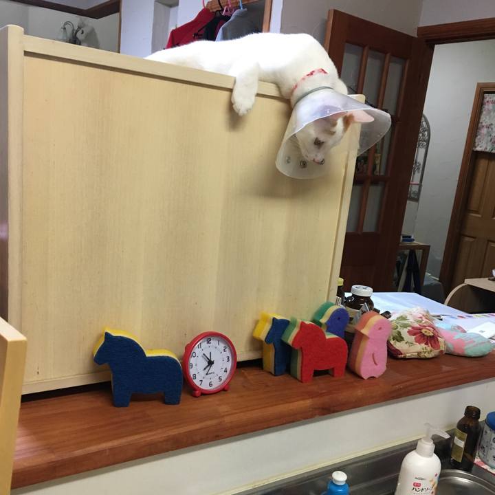 02b63a73 6f66 49a3 bea0 36f32dc552e5