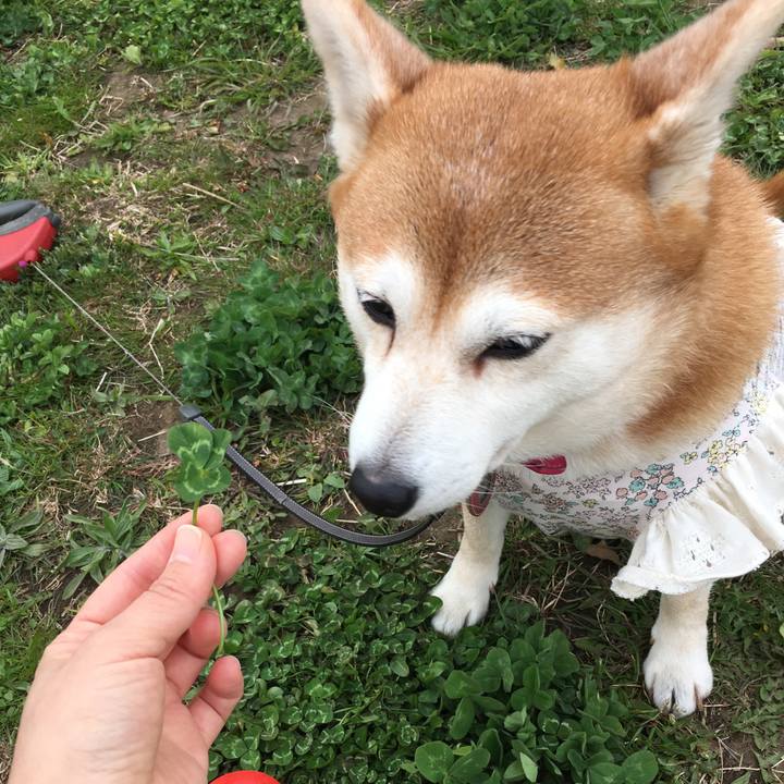 02b6ac72 c54d 44bc b8f4 1a691adf11db