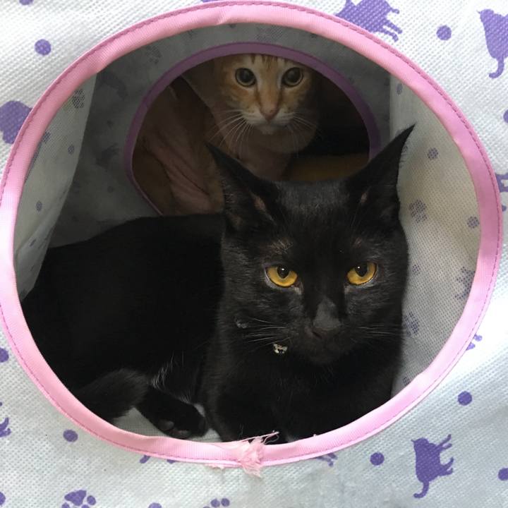 02b6b956 5cd0 4602 8c58 f1bbfaa29d53