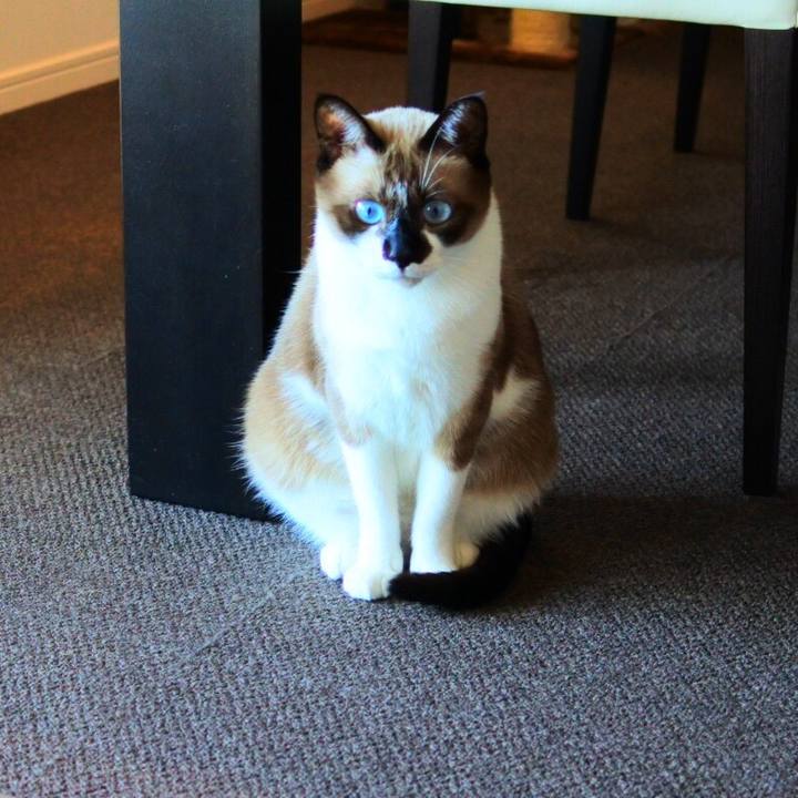 02b7435b 95f8 4e26 aa70 15d4d6980f9c