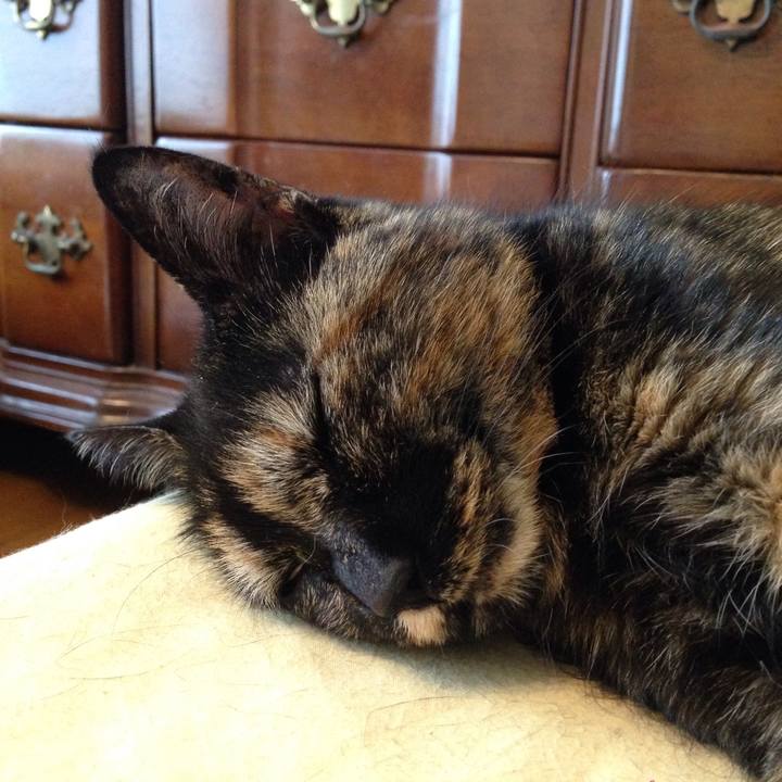 02b74620 2341 4770 b1a1 4e60fb55e3ee