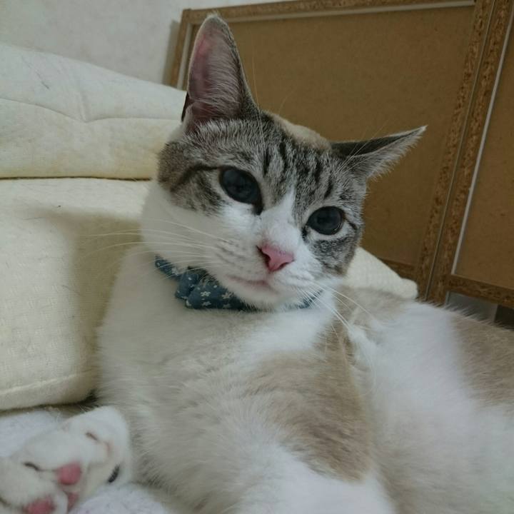 02b76a95 c6b5 4e60 8e68 97562d8010e7