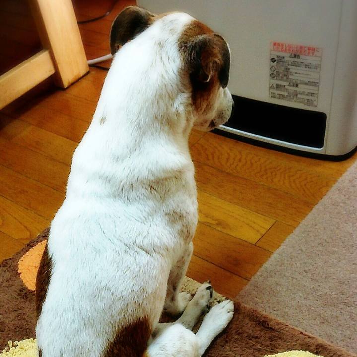 02b76c54 b8fe 4829 89fa 88d8ea56742a