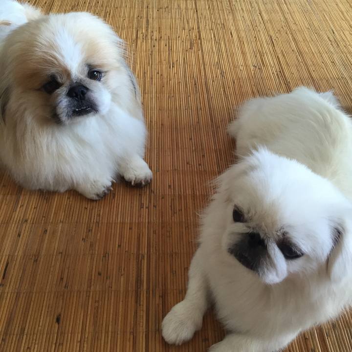 02b77ceb fbae 42a6 bf70 9c006bb753eb