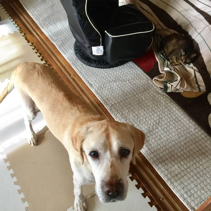 02b78378 f7e7 49a4 a1c5 082af67e42f5