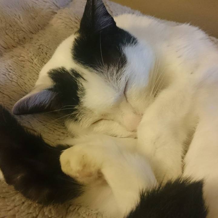 02b87567 6610 4590 98f1 523ca3b75573