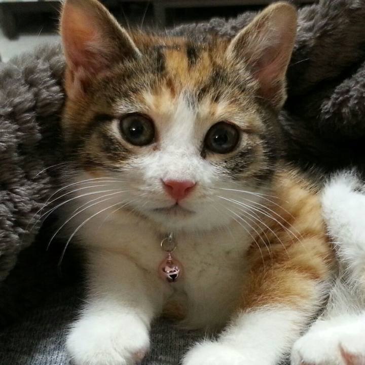 02b96e23 1fad 40d0 b2cb 0445d2f546ca