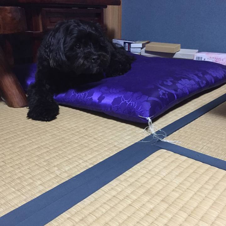 02b97832 9343 4c01 aa5d 27c23013ea17