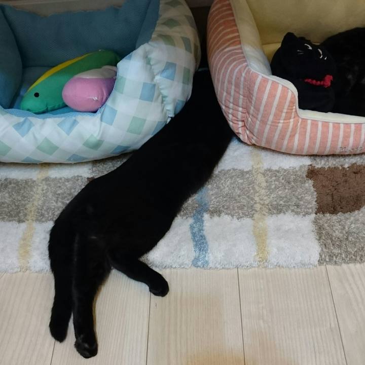 02bacecf 94c8 4ce9 bcfd e40667661f18