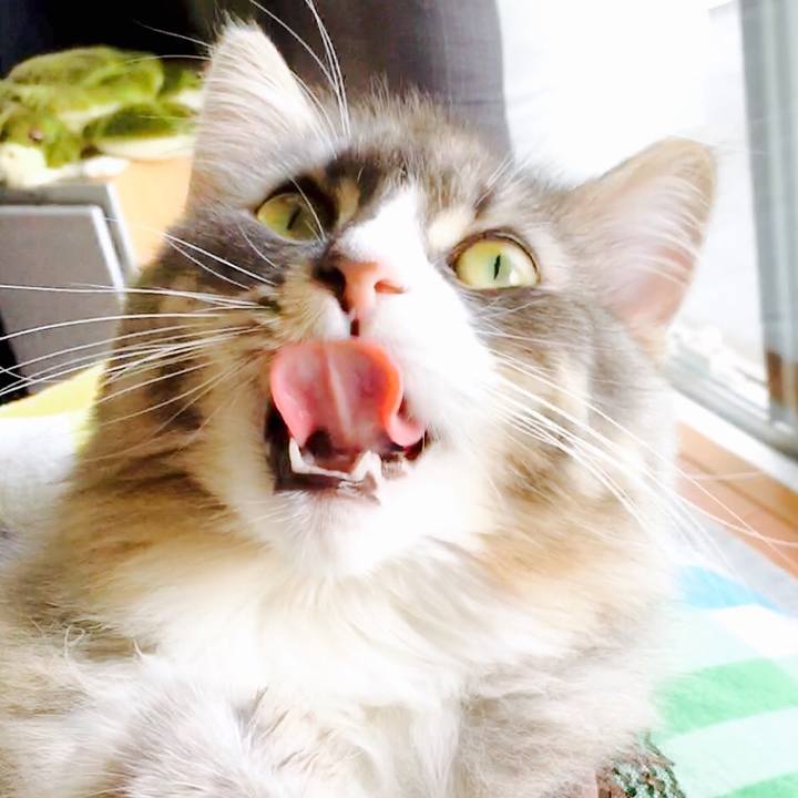 02bbe9c0 35c2 461e 944c 78681b914000