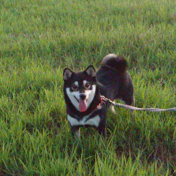 02bc7981 a650 4aab 8f0b fdd4c66bd7f8