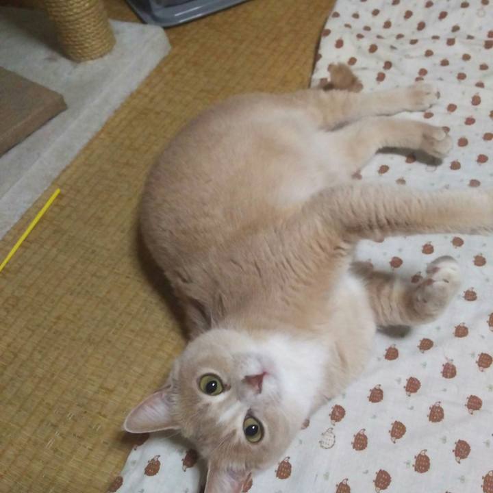 02bd4a87 fa8a 4cfb bc1c 1b5a5b3c78a2