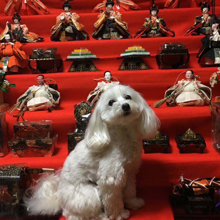 02bd9d0c f13b 4d70 995f dc14bc5c32ae