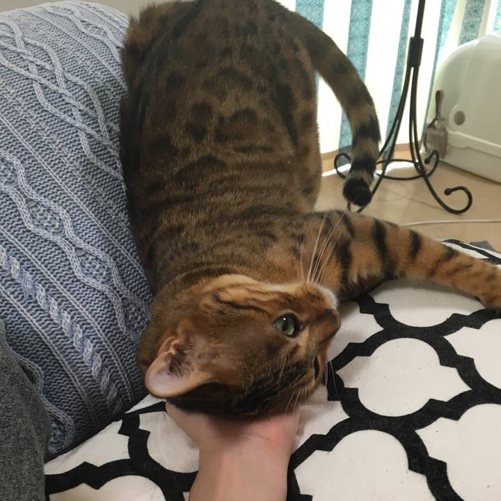 02bdcbb1 940d 4d59 94db 4259cd576ea1