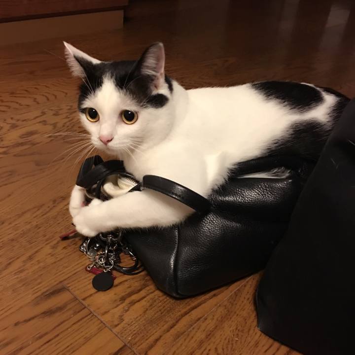 02be7f71 e782 42d2 999d 1df344c974af