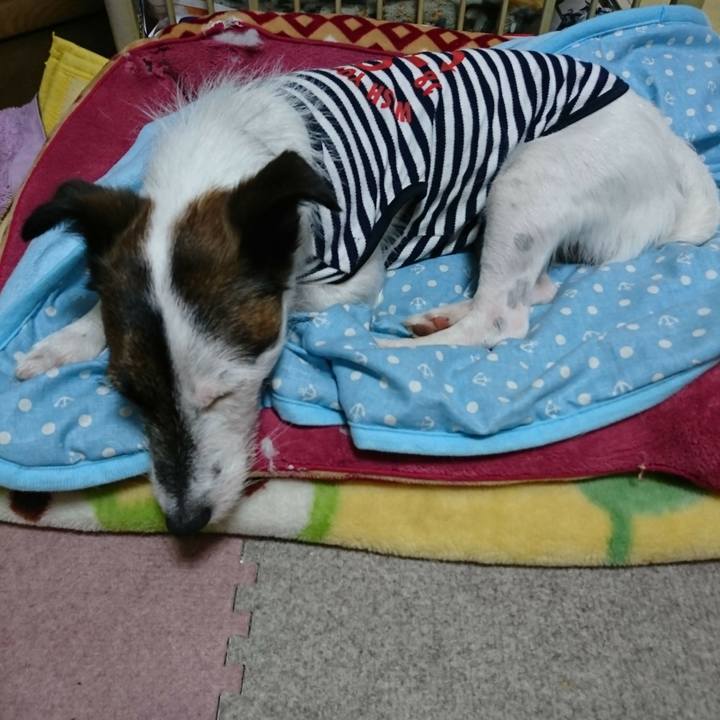 02bef83e 60ba 4c87 871b 2ae23de4c124